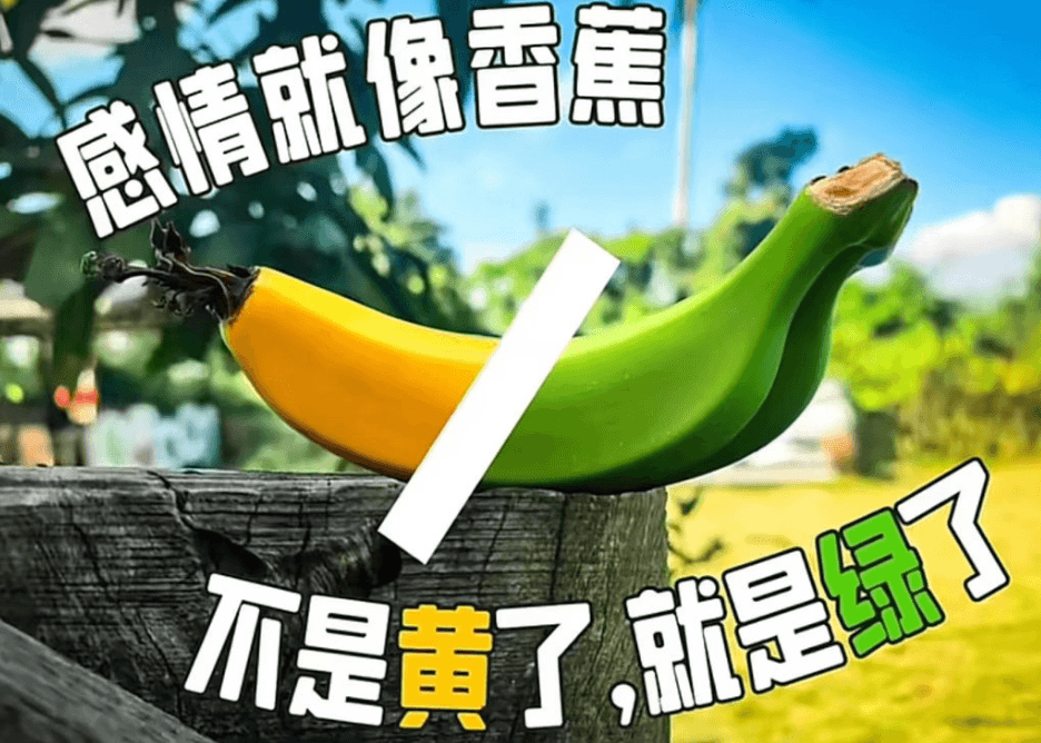 每日文案260509第三期(限免三天)